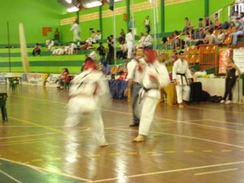3faseparanaense_assis_27092008_34