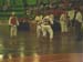 3faseparanaense_assis_27092008_44